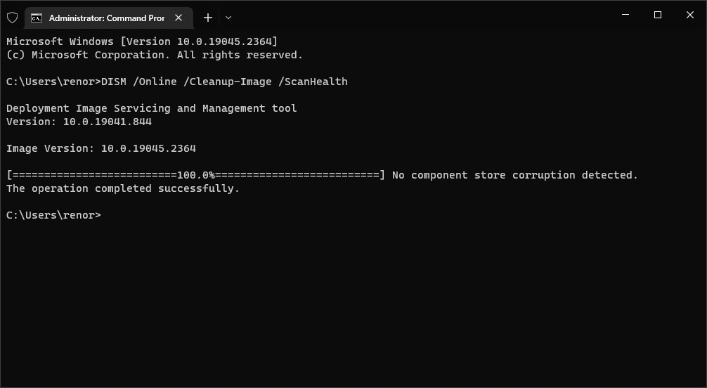 DISM ScanHealth on Command Prompt - Perbaiki File Sistem Windows - RenoArifigar.com
