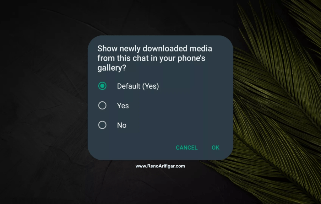 Sembunyikan Media (Foto & Video) WhatsApp dari Gallery - RenoArifigar.com